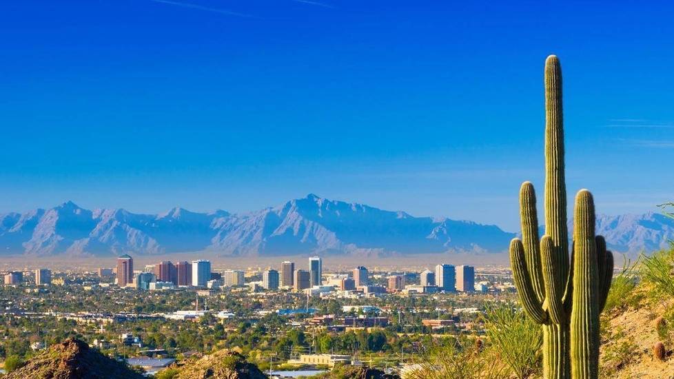 Cactus in desert with Arizona city skyline in background