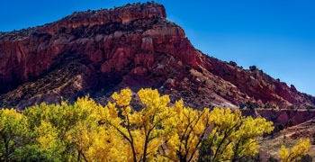 New Mexico butte with wildlife and plants at base
