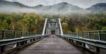 Trail and bridge going through a forest