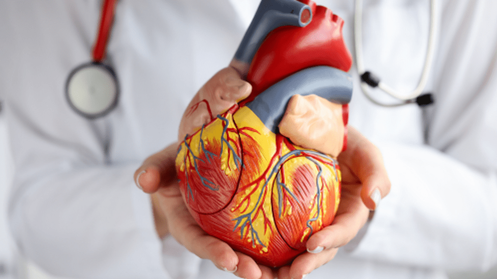 What is a port a cath?